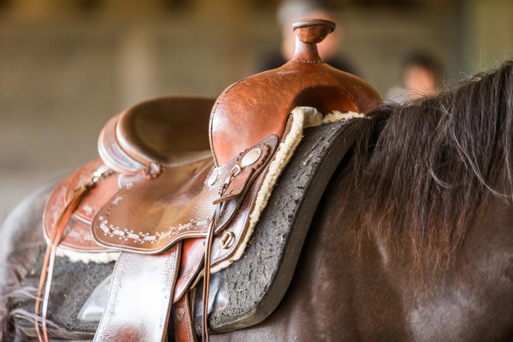 Vorbereitungskurs für das Westernreitzertifikat